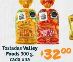 Soriana Híper Valley foods tostadas oferta