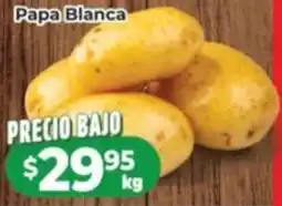 HEB Papa blanca oferta