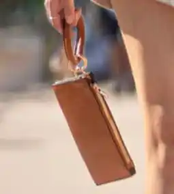 DelSol Cartera oferta