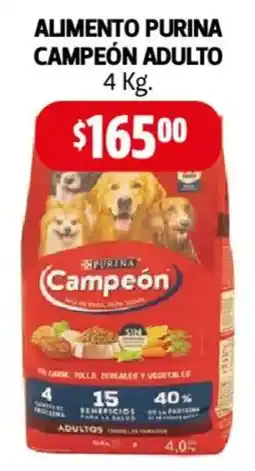 Farmacias Guadalajara Alimento purina campeón adulto oferta