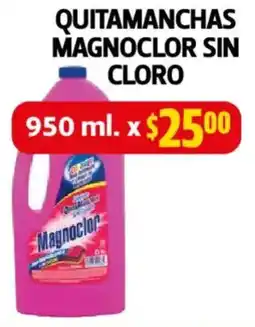 Farmacias Guadalajara Quitamanchas magnoclor sin cloro oferta