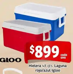 Soriana Mercado Hielera oferta