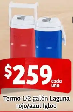 Soriana Mercado Termo oferta