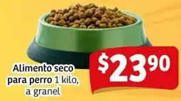 Soriana Mercado Alimento seco para perro oferta