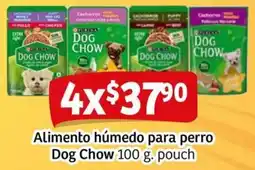 Soriana Mercado Dog chow alimento húmedo para perro oferta