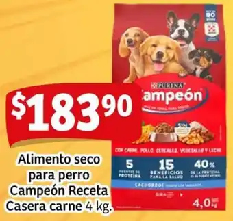 Soriana Mercado Alimento seco para perro campeón receta casera carne oferta