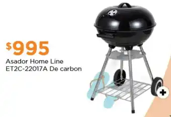 Chedraui Asador home line ET2C-22017A De carbon oferta