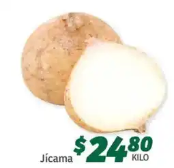 Soriana Híper Jicama oferta