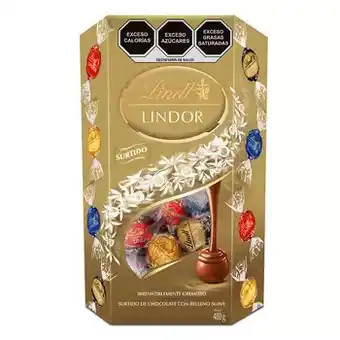 Lindt Surtido de Chocolates con Relleno Suave 480 g
