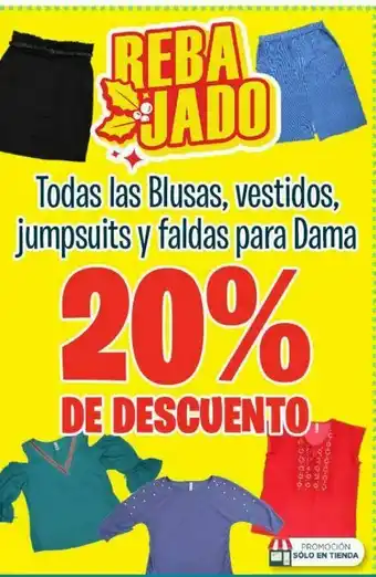 Blusas, vestidos jumpsuits y faldas para dama