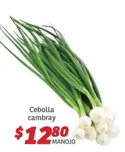 Soriana Híper Cebolla cambray oferta