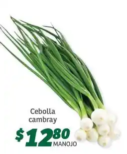 Soriana Súper Cebolla cambray oferta