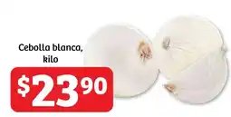 Soriana Híper Cebolla blanca, kilo oferta