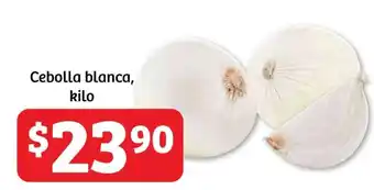 Soriana Híper Cebolla blanca, kilo oferta
