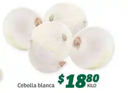Soriana Súper Cebolla Blanca oferta