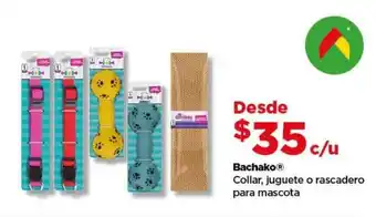Bodega Aurrerá Bachako oferta