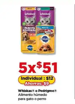 Bodega Aurrerá Whiskas o Pedigree Alimento húmedo oferta