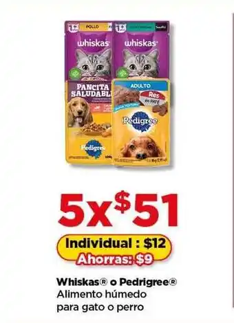 Bodega Aurrerá Whiskas o Pedigree Alimento húmedo oferta