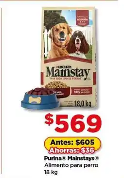 Bodega Aurrerá Purina Mainstays oferta