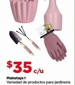 Bodega Aurrerá Mainstays oferta