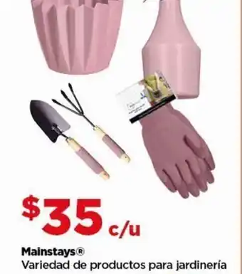 Bodega Aurrerá Mainstays oferta