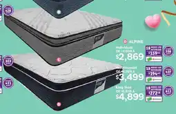 Soriana Híper Alpine individual oferta