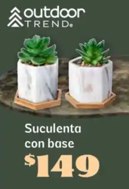 Soriana Súper Suculenta con base oferta