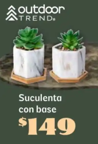 Soriana Súper Suculenta con base oferta