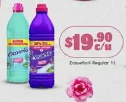 Farmacias Guadalajara Ensueño Regular oferta