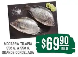 Mojarra tilapia