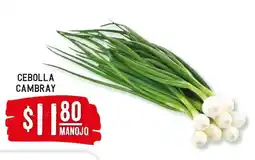 Soriana Híper Cebolla cambray oferta
