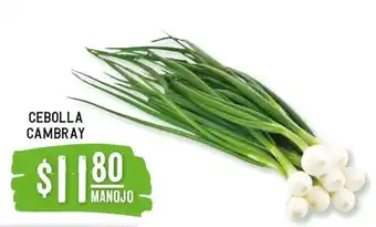 Soriana Súper Cebolla cambray oferta