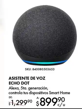 DelSol Echo - asistente de voz dot oferta
