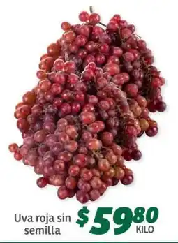 Soriana Súper Uva roja sin semilla oferta