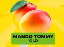 Merco Mango tommy oferta