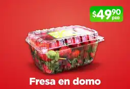 Arteli Fresa en domo oferta