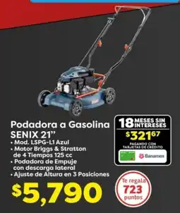 Senix podadora a gasolina 21"