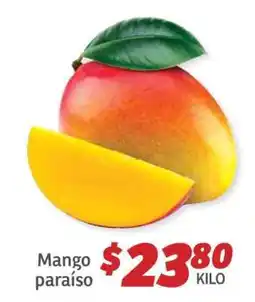 Soriana Híper Mango paraíso oferta