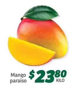 Soriana Súper Mango paraíso oferta