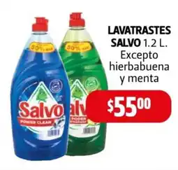 Farmacias Guadalajara LAVATRASTES SALVO oferta