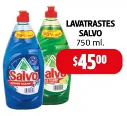 Farmacias Guadalajara Lavatrastes salvo oferta