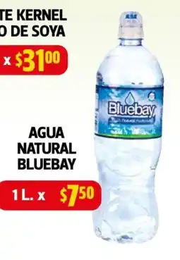 Farmacias Guadalajara Agua natural bluebay oferta