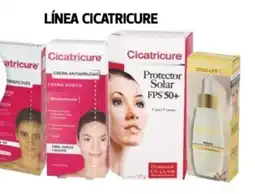 Farmacias Guadalajara Línea cicatricure oferta