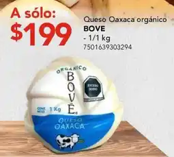 City Club Queso Oaxaca orgánico BOVE oferta