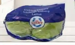 Lechuga romana MR. LUCKY