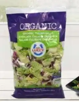City Club Ensalada italiana MR. LUCKY oferta