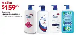 City Club Shampoos HEAD & SHOULDERS oferta