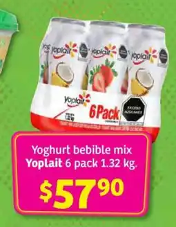 Yoghurt bebible mix Yoplait 6 pack