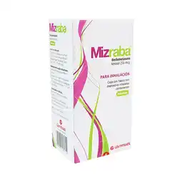 Farmacias Benavides 250 mcg Beclometasona oferta