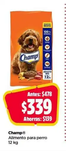 Champ